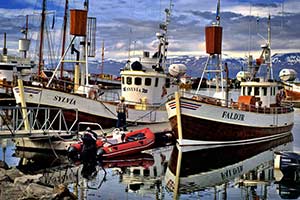 Fischerboote in Husavik