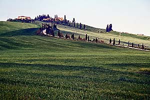 grüne Hügellandschaft in der Toskana