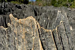 Scharfe Steinkante im Tsingi de Bemaraha