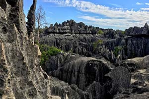 Klippen im Tsingi de Bemaraha