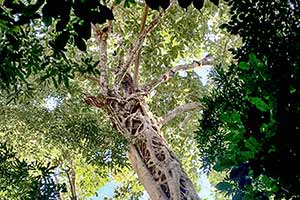 Wäsche trocknet auf Steinen in der Sonne
