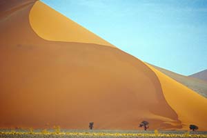 Düne in der Namib
