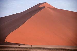 Düne in der Namib