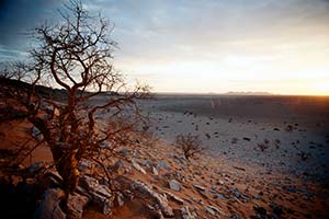 Sonnenuntergang in Steppe von Namibia